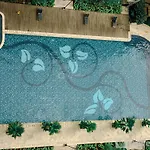 Cozy Stay Studio Signature Park Grande Apartment By Travelio